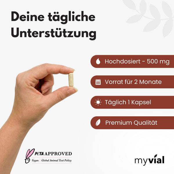 {"loading" => "lazy", "alt" => "Vitamin B Komplex Kapseln"}