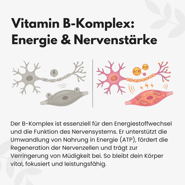 {"loading" => "lazy", "alt" => "Vitamin B Komplex Kapseln"}