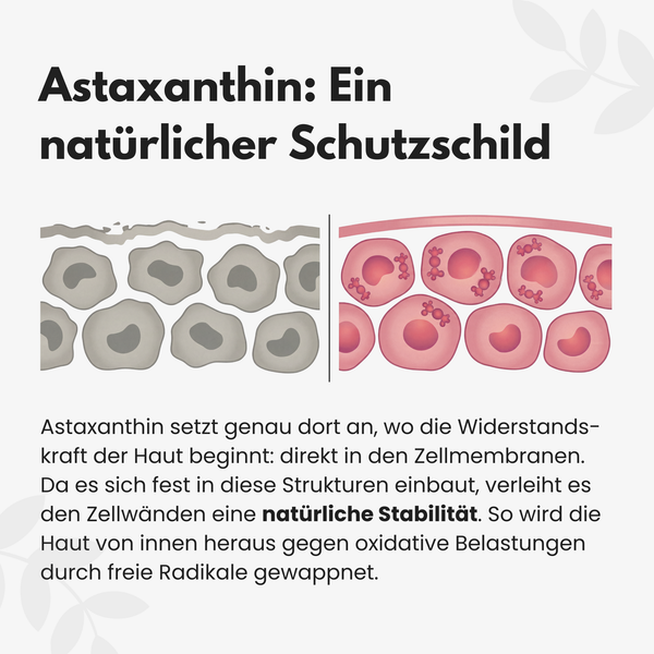 {"loading" => "lazy", "alt" => "Asta Glow Bonbons"}