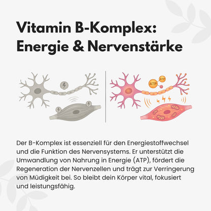 Vitamin B Komplex Kapseln
