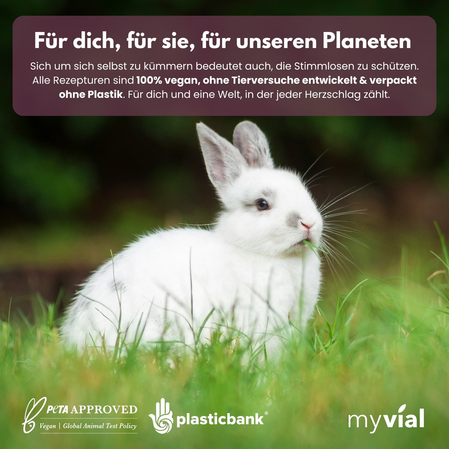 Organic Milk Thistle Liver Complex Capsules