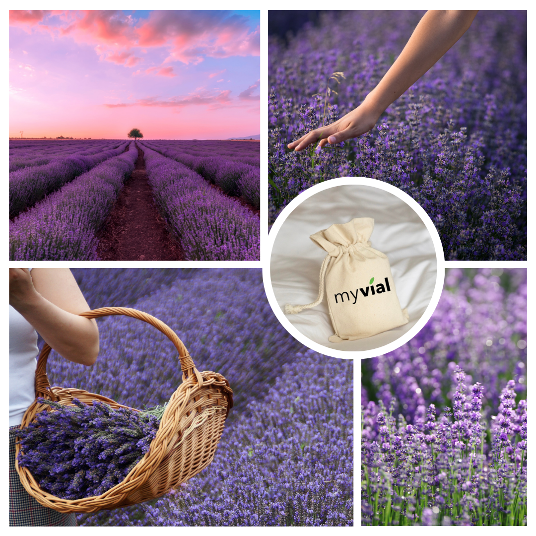 Organic Lavender Sachet