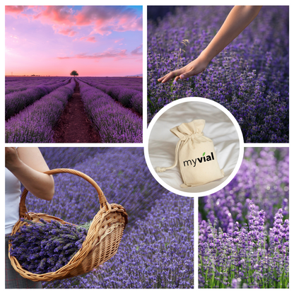 Organic Lavender Sachet