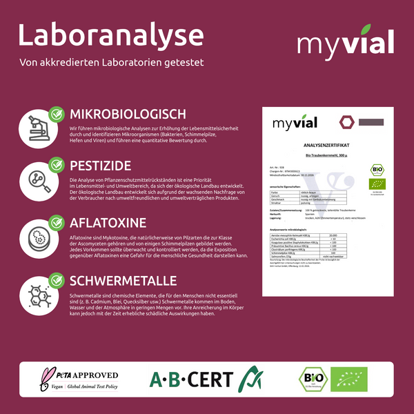 {"loading" => "lazy", "alt" => "Bio OPC Kapseln – Mit Traubenkern, Aroniapulver & Vitamin C"}