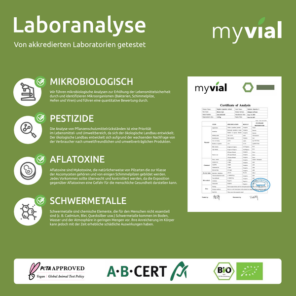 {"loading" => "lazy", "alt" => "Quercetin Capsules"}