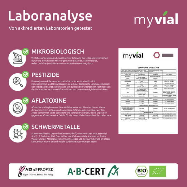 {"loading" => "lazy", "alt" => "Organic Vitamin C Capsules from Acerola"}